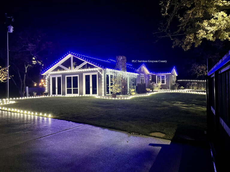 Blue and White Christmas Lights