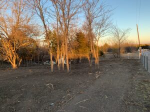 Land Clearing - Tractor Service