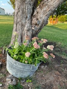 Custom Planters By PLC Services