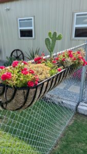 Custom Planters By PLC Services