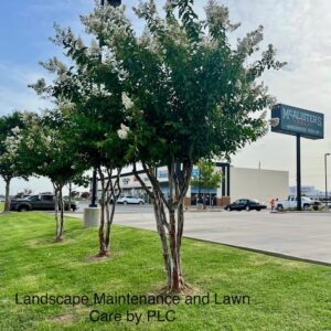 McAlisters Deli Sherman TX Landscaping by PLC Services Grayson County