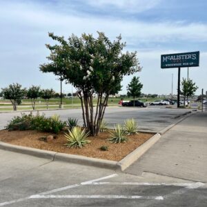 McAlisters Deli Sherman TX Landscaping by PLC Services Grayson County