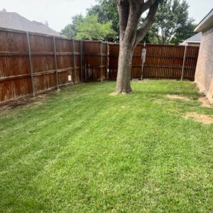 PLC Services Grayson County TX - Grass Sod Install Summer 2024 Daniel Way