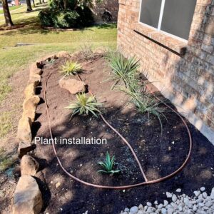 Daylily Way Plant Installation Landscape Update by PLC Services