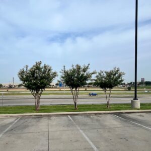 McAlister Deli Sherman TX - PLC Services Grayon County Landscaping 5