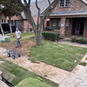 PLC Services Grayson County AFTER Sod Installation 2024