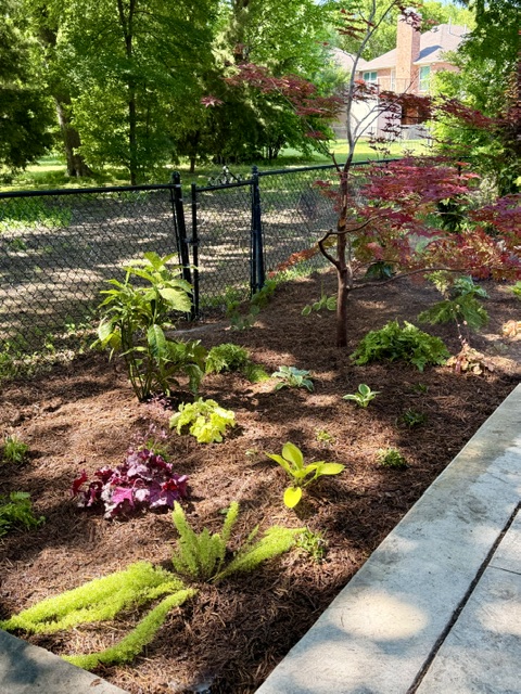 Spring Flowerbed Update PLC Services Grayson County