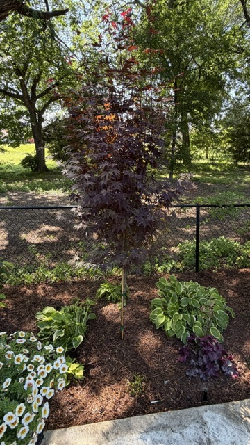 Spring Flowerbed Update PLC Services Grayson County
